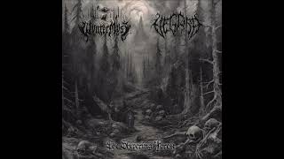 Vegard - The Shivering Forest [FULL E.P]