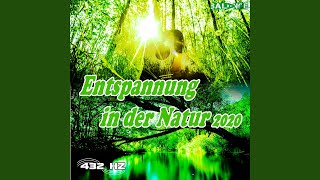 Entspannung in der Natur - Bach