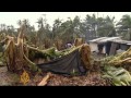 Philippines banana industry damaged by typhoon