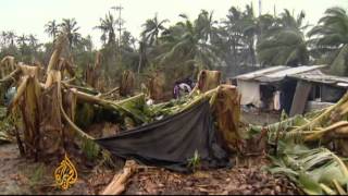 Philippines banana industry damaged by typhoon