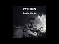 Austin Marks - Python