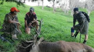 NZ Roar 3 stags in 3 days. 13,13,12 points