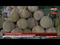 5 JUL 2020 BERITA TGH HARI – DURIAN BERKUALITI TARIKAN KE BANDAR BAHARU