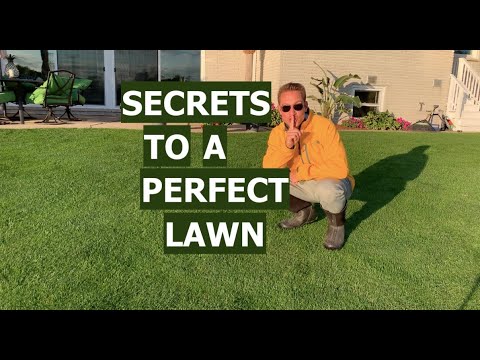 Secrets To A Perfect Lawn Youtube