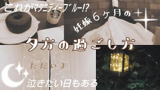 ＃24 【妊婦生活】仕事を辞めて専業主婦になった妊娠６か月の夕方ルーティン/これがマタニティブルー！？