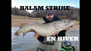 Pêche du brochet au bigbait en hiver !