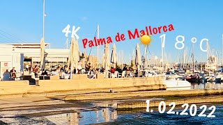 Uncovering Palma de Mallorca: Is THIS the Trip of a Lifetime?