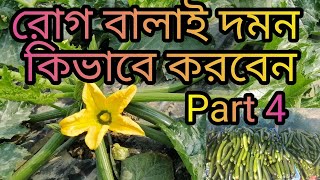 মালচিং পদ্ধতিতে স্কোয়াশ চাষ -স্কোয়াশের রোগ বালাই দমন কিভাবে করতে হয় ? - স্কোয়াশ চাষ