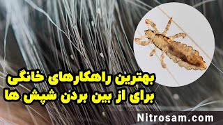 سم نابودی تخم شپش - بهترین سم شپش کش