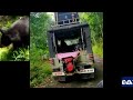 ജനവാസകേന്ദ്രത്തിൽ കരടി ഇറങ്ങി kollam kadakkal bear viral video