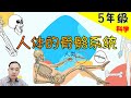 【人体的骨骼系统】|【人类 PART 1/3 】5年级 | KSSR  | TSLAU