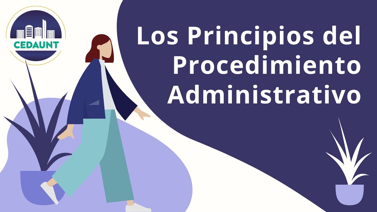 PRINCIPIOS DEL PROCEDIMIENTO ADMINISTRATIVO - YouTube