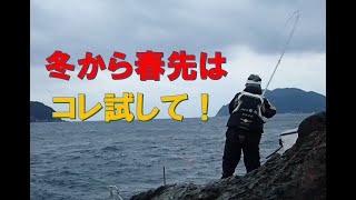 【磯マダイ】甑島・里