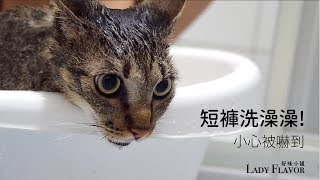 【短褲洗澡澡！】洗澡訓練讓貓咪不怕洗澡！