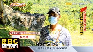 守護部落珍惜山林 原民返鄉成立維護隊