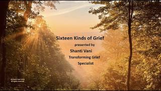 Sixteen Kinds of Grief