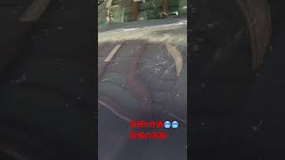 洗車5分後の花粉🥶🥶🥶