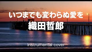 織田哲郎   ///   いつまでも変わらぬ愛を ( Instrumental )