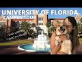 University of Florida Campus Tour for Incoming Students | Walk with Me Around Gainesville FL