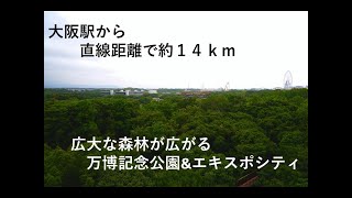 大阪モノレールで空中散歩！大阪駅からほど近くの大自然を堪能できる万博記念公園へ！The Osaka Monorail！To the Expo'70 Commemorative Park！