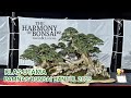 Pameran bonsai nasional Bantul 2023 || Klas Utama.