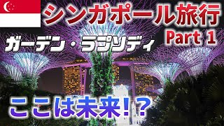 【シンガポール旅行】ガーデンズバイザベイのイルミネーションが近未来仕様で凄すぎる!! コスパ&立地抜群のホテルも紹介【Part 1/6】