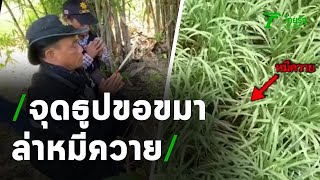 ขอขมาเจ้าที่  เดินหน้าตามล่าหมีควาย | 13-09-63 | ไทยรัฐนิวส์โชว์