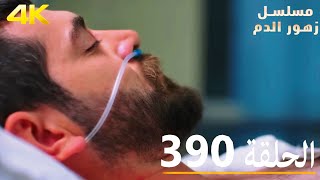 الحلقة 390 | مسلسل زهور الدم | مدبلج بالعربية