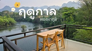 รีวิวที่พักเปิดใหม่ติดน้ำ อ.ทองผาภูมิ จ.กาญจนบุรี #ฤดูกาญทองผาภูมิ🌿🌳