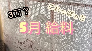 50代独身女　5月分給料公開　不安しかないパートの仕事　無職からパートへ多難の日々　独身おひとり様　孤独