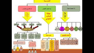 الجمعية الثقافية و الرياضية المدرسية