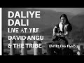 Daliye Dali Live at YRF 2019 | GALO FOLK | David Angu & The Tribe