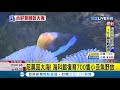 700隻小尼莫返回大海！海科館復育小丑魚寶寶並野放回棲息地 藉由人工繁殖維護海洋生態│記者 黃恩琳│【萌寵54來當家】20200630│三立新聞台