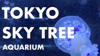 Sumida Aquarium in TOKYO SKY TREE【Japan Vlog＃3】すみだ水族館にクラゲを見に行く