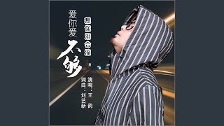 爱你爱不够想你泪会流 (DJ何鹏版伴奏)