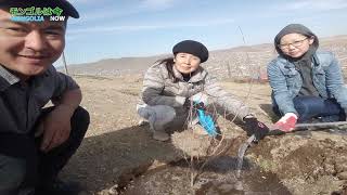 MONGOLIA NOW \