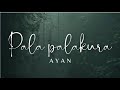 Pala palakura pagala Song | Ayan | Lyrical video | Lyric Canvas