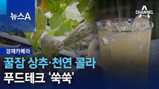 [경제카메라]꿀잠 상추·천연 콜라…푸드테크 ‘쑥쑥’ | 뉴스A