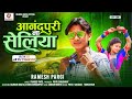 Ramesh Pargi New Timli/ आनंदपूरी ना सेलिया/ Gujarati dj Timli Song 2024