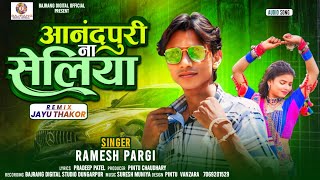 Ramesh Pargi New Timli/ आनंदपूरी ना सेलिया/ Gujarati dj Timli Song 2024