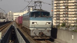 JR貨物　EF66 111牽引3083レ　＠高井田中央　2012/12/07