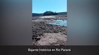 Bajante histórica en Río Paraná