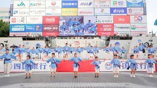 [4K] 高知りょうまライオンズクラブ 　高知よさこい祭り 2019 本祭1日目