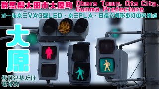 【信号機】群馬県太田市大原町 オール京三VAC型LED・京三PLA・日信六角形歩灯の交差点