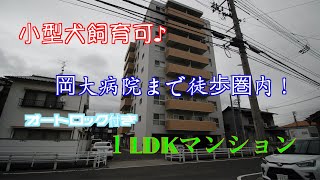 岡山大学附属病院徒歩圏内で小型犬飼育可能な１LDKマンションのご紹介です♪