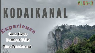 Must Visited Places in Kodaikanal | Pine Tree Forest | Guna Caves | Kodaikanal weather