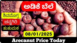 Adike Rate Today | Tumakuru, Shivamogga, Channagiri Rashi Arecanut Price | Farmer's Special Update