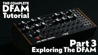 Part 3 - Exploring The DFAM Walkthrough - Complete DFAM Tutorial