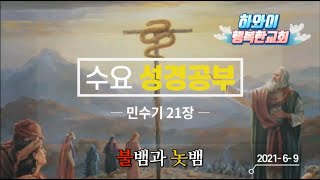 수요성경공부 (민수기 21장) - 불뱀과 놋뱀 | 2021-6-9 | 하와이행복한교회