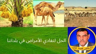 الدكتور محمد فائد || الحل لتفادي الأمراض في بلداننا